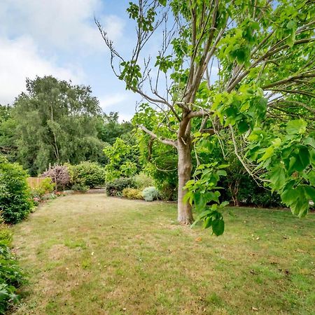 Little Thatch Lovely 2-Bed Converted Workshop Near Weymouth Radipole Exteriör bild