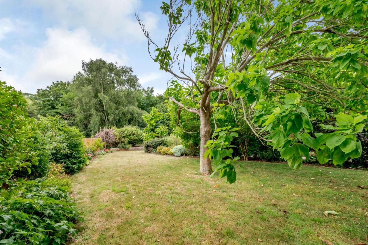 Little Thatch Lovely 2-Bed Converted Workshop Near Weymouth Radipole Exteriör bild
