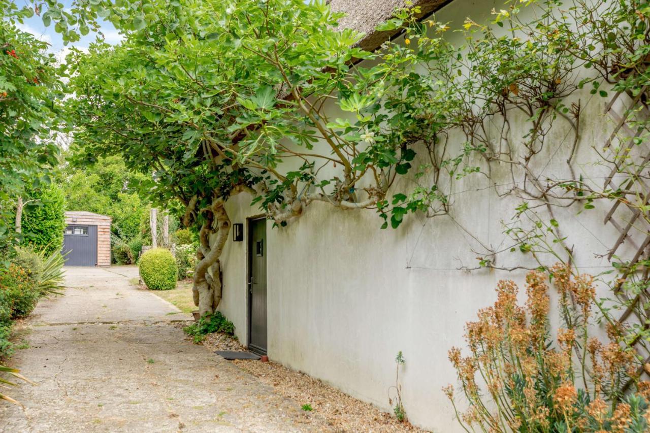 Little Thatch Lovely 2-Bed Converted Workshop Near Weymouth Radipole Exteriör bild